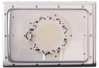 L1403AS (SMD) Hazardous Location LED Light